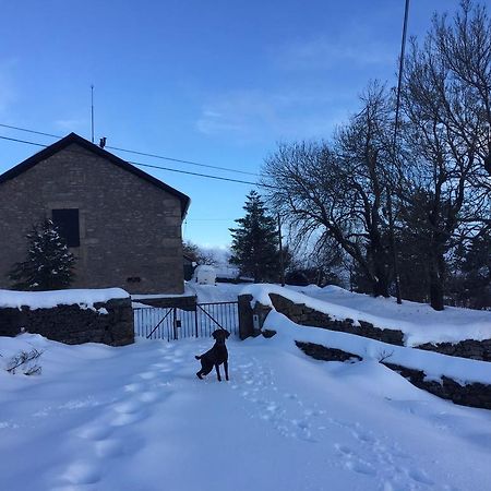 Mountain House/ Serra Da Estrela Penhas da Saúde 외부 사진